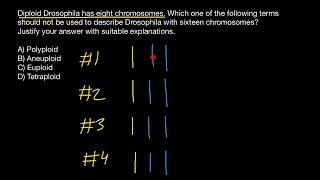 Aneuploid Euploid Polyploid Tetraploid [upl. by Juliann]