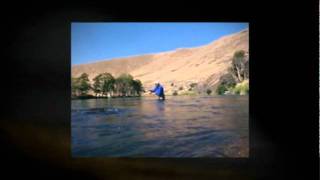 Fly Fishing Steelhead Deschutes River [upl. by Mccutcheon566]