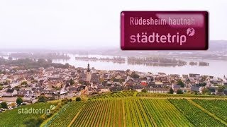 Rüdesheim hautnah  Der Städtetrip [upl. by Aivax355]