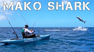 Kayak Fisherman Hooks 400pound MAKO SHARK in New Zealand CATCH amp COOK  Episode 2 [upl. by Eittam342]