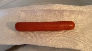 Microwave Hot Dog  How To Cook Hot Dogs In The Microwave  Quick amp Easy 🌭 [upl. by Levison611]