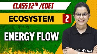 Ecosystem 02  Energy Flow  Class 12thCUET [upl. by Enirol]