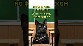 Школьник обманул английский язык 🤣 мем котики [upl. by Aizek]