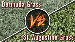 Bermuda Grass vs St Augustine Grass  Warm Season Turf Types in Texas [upl. by Lizzy]