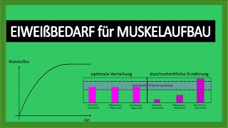 Studie Eiweißbedarf für optimalen Muskelaufbau  Tagesbedarf Eiweiß  mehr Muskeln aufbauen [upl. by Llerrac459]