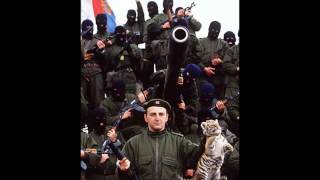 Serb Patriot Music  Arkans Tigers [upl. by Dalston63]