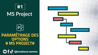 MS PROJECT FORMATION 1 PARAMETRAGE MS PROJECT [upl. by Daahsar]