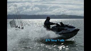 2023 King of the Kaipara Fishing Tournament on a FishPro [upl. by Rojas]