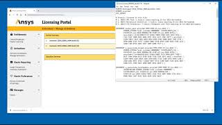 Ansys Licensing Managing Activations [upl. by Ambur726]