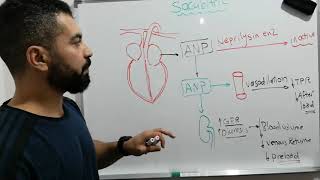 ال sacubitril ودوره في علاج ال heart failure Enteresto [upl. by Almeeta]