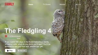 An Epic Barred Owl Documentary The Fledgling 4 Nature documentary [upl. by Leunammi]