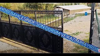 HOBİ BAHÇEMİZDEN ON ALTINCI BÖLÜM  HAYVANLARIMIZ  KAZLARIMIZ [upl. by Awuhsoj]