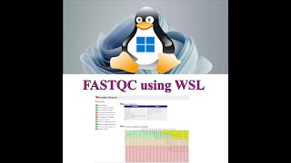 How to use Fastqc on WSL system and Linux [upl. by Marius]