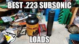 Best 223 or 556 Subsonic Load [upl. by Ecneret]