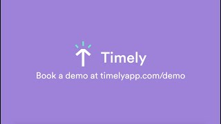 Timely Automatic Time Tracking A Brief Introduction [upl. by Einnol]