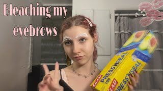 BLEACHING my eyebrows transformation [upl. by Hubey94]