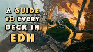 Baba Lysaga Night Witch  A Guide To Every Deck In EDH [upl. by Tamis]