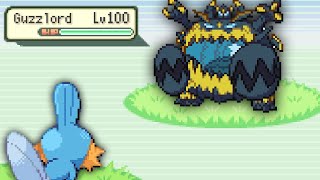 This Hard Emerald Randomizer Race included all of the Modern Pokémon [upl. by Anelac]