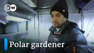 Growing greens in the Arctic  DW Documentary [upl. by Melar614]