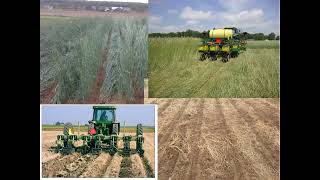 NECCC Webinar Cover crops and herbicide carryover concerns 100224 [upl. by Rednasxela]