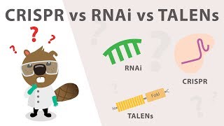 Gene Silencing Methods CRISPR vs TALENs vs RNAi [upl. by Novahc]