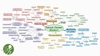 Calcium Channel Blockers  Mind map [upl. by Ytsud]