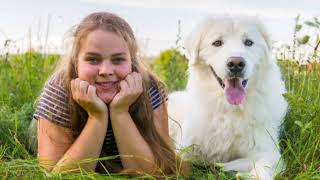 Facts About Kuvasz [upl. by Errol]