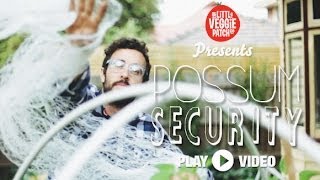 DIY Possum Security [upl. by Yedorb]