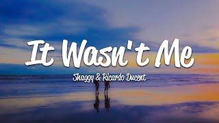 Shaggy  It Wasnt Me Lyrics ft Ricardo RikRok Ducent [upl. by Gerdi693]