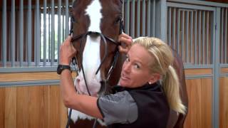 Fitting the Grackle Noseband [upl. by Doran]