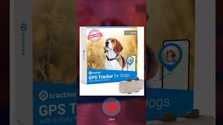 🔆GPS Tracker For Dogs  Amazon Finds amazonfinds gadgets [upl. by Trebleda538]