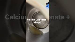 Reaction of Calcium Carbonate and Acetic Acid [upl. by Danczyk]