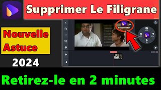 🎥 Comment Supprimer Le Filigrane De Vidéo  Tutoriel Facile et Rapide 🎥 [upl. by Maud]