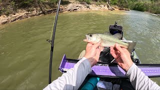 Tube jigs round 2  spring kayak bass fishing kayakfishing bass fishing fishinglife [upl. by Awahsoj]