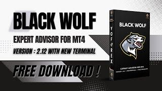 Black Wolf EA V212 MT4  FULL REVIEW  FREE DOWNLOAD [upl. by Havens]