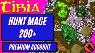 🚨HUNT MAGE 200🚨 SORCERER E DRUID XP RUSH NO TIBIA [upl. by Ellehcal]