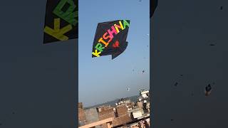 Kite flying video🪁 Patang bazzi 😍kiteflying kites patang patangbazi viral [upl. by Kress233]