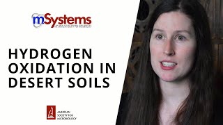 Hydrogen Oxidation in Desert Soils [upl. by Haydon930]