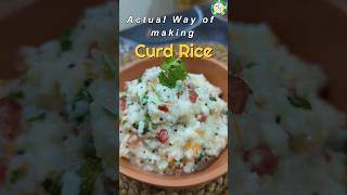 The Correct Way to Make Curd Rice South Indian Comfort Food l Traditional Method l Travel food [upl. by Gael]