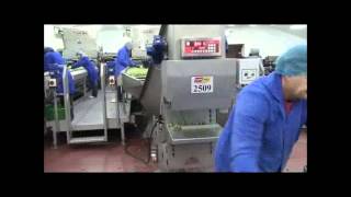 Brussel Sprout Grading Weighing and Packing Line  Tong Engineering [upl. by Rodavlas979]