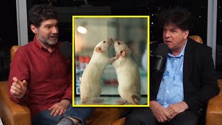 The Problem With Peer Review  Eric Weinstein  The Portal Podcast Clips [upl. by Gnivre]