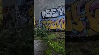 Hiking through a field of abandoned silos urbex explorepage [upl. by Spevek659]