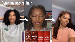 Dying My Natural Hair Chocolate Brown  Loreal HiColor  Gabrielle Amandaaa [upl. by Udella]