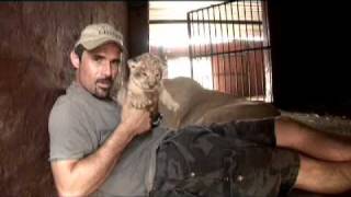 Kevin Richardson a very special Lioness amp her Cubs [upl. by Forkey]