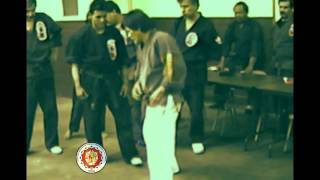 Tadashi Yamashita  Suikendo Seminar 1991 [upl. by Rigdon]