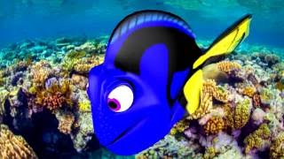 procurando Dory dublado filme completo hd [upl. by Ricoriki]