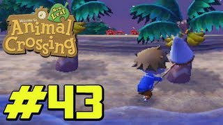 Lets Play ANIMAL CROSSING NEW LEAF 43 Eine schöne Inselnacht DeutschGerman HD [upl. by Haberman759]