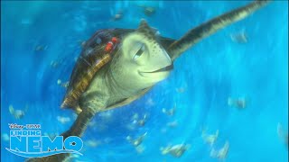 Turtle Cruising 🐢  Finding Nemo  Disney Channel UK [upl. by Erdeid704]