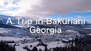 A Trip in Bakuriani Georgia 2019 New Year [upl. by Allerym770]