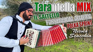 Tarantella MIX NICOLA SCACCHIA campione del mondo di organetto [upl. by Drofdeb]